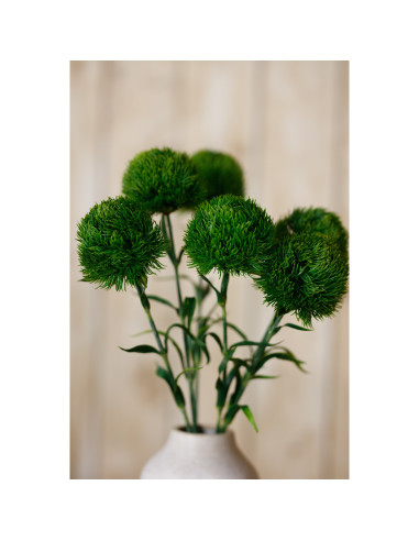 Full dimensions and specifications of Hill Interiors Dark Green Dianthus Stem 23839: Height 53.00cm, Width 0.00cm, perfect for