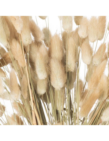 Affordable industrial style furniture Hill Interiors Dried Natural Bunny Tail Bunch Of 40 21692 for modern home decor, free shi