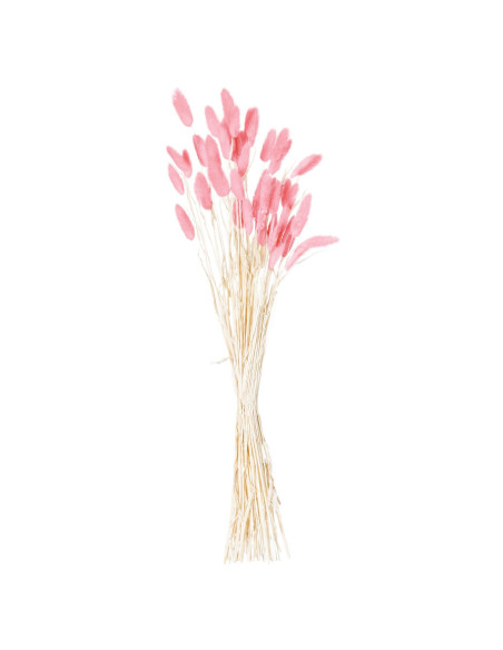 Hill Interiors Dried Pale Pink Bunny Tail Bunch Of 40 21691 - Authentic Hill Interiors furniture directly from FastDaddy UK. Ex