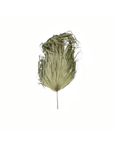 Hill Interiors Dried Sun Big Palm 21693 - Authentic Hill Interiors furniture directly from FastDaddy UK. Exclusive collection o