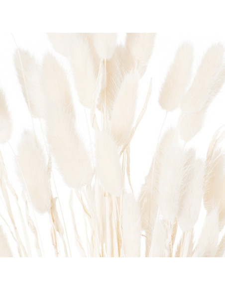 Affordable industrial style furniture Hill Interiors Dried White Bunny Tail Bunch Of 60 21690 for modern home decor, free shipp