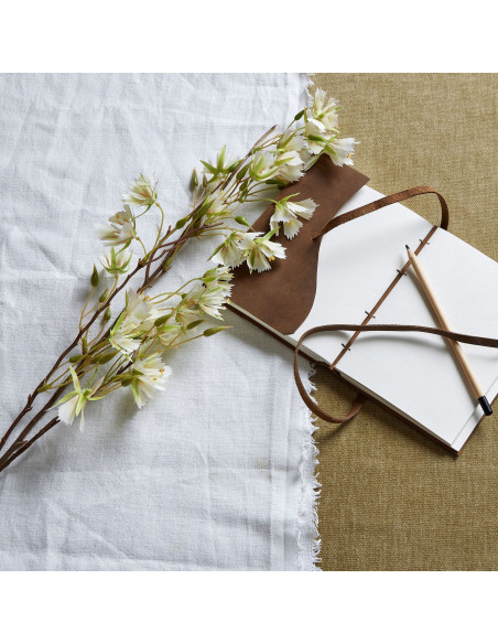 Hill Interiors Elaeocarpus Stem 22626 - Authentic Hill Interiors furniture directly from FastDaddy UK. Exclusive collection onl