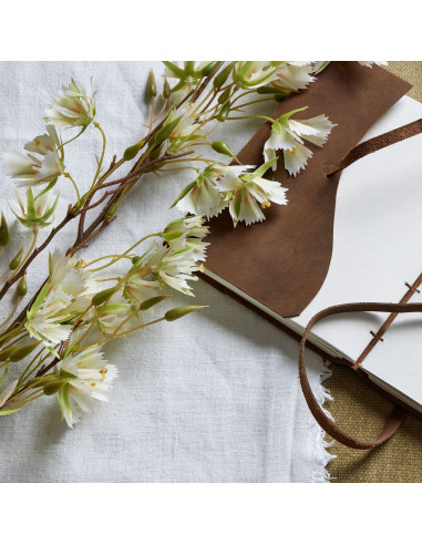 Buy Hill Interiors 22626 Elaeocarpus Stem online in UK with fast delivery from FastDaddy UK, your furniture expert.