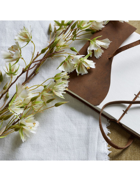 Buy Hill Interiors 22626 Elaeocarpus Stem online in UK with fast delivery from FastDaddy UK, your furniture expert.