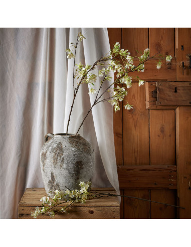 Affordable industrial style furniture Hill Interiors Elaeocarpus Stem 22626 for modern home decor, free shipping options and se