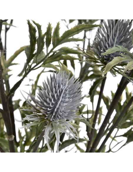 Full dimensions and specifications of Hill Interiors Eryngium Thistle 19056: Height 76.00cm, Width 24.00cm, perfect for your li