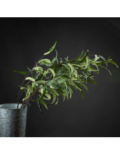 Full dimensions and specifications of Hill Interiors Eucalyptus Nicholii Spray 20107: Height 128.00cm, Width 46.00cm, perfect f 2