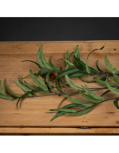 Buy Hill Interiors 20107 Eucalyptus Nicholii Spray online in UK with fast delivery from FastDaddy UK, your furniture expert.