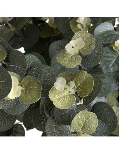 Full dimensions and specifications of Hill Interiors Eucalyptus Spray 19051: Height 91.00cm, Width 13.00cm, perfect for your li