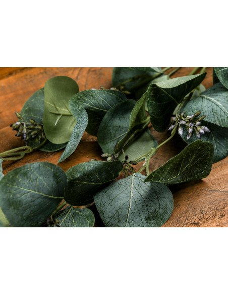 High-quality metal and wood construction of Hill Interiors SKU 22196 Eucalyptus Stem Spray, detailed view for UK customers.