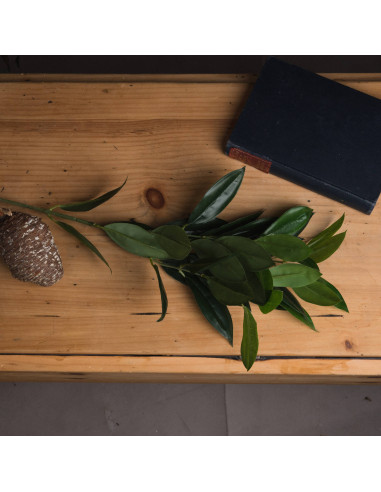 Buy Hill Interiors 18958 Faux Bay Leaf Spray online in UK with fast delivery from FastDaddy UK, your furniture expert.