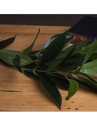 Affordable industrial style furniture Hill Interiors Faux Bay Leaf Spray 18958 for modern home decor, free shipping options and