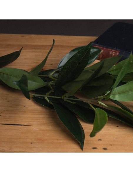 Affordable industrial style furniture Hill Interiors Faux Bay Leaf Spray 18958 for modern home decor, free shipping options and