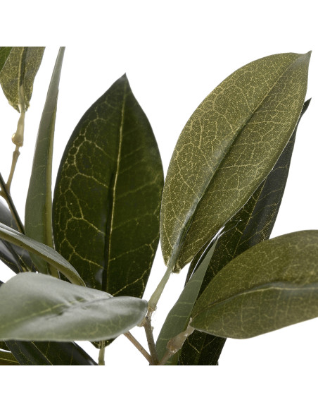 Full dimensions and specifications of Hill Interiors Faux Bay Leaf Spray 18958: Height 65.00cm, Width 25.00cm, perfect for your