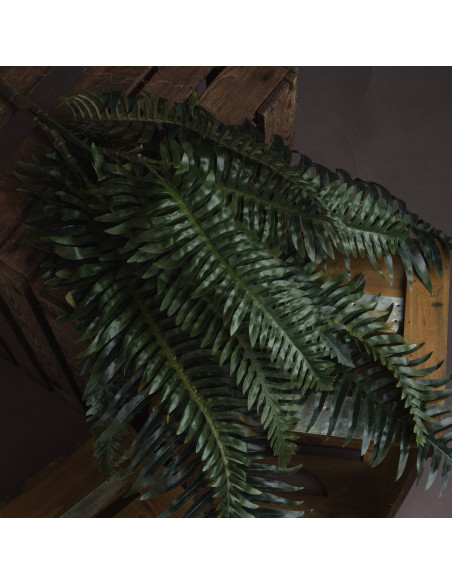 Buy Hill Interiors 19003 Fern Bunch online in UK with fast delivery from FastDaddy UK, your furniture expert.