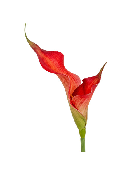 Affordable industrial style furniture Hill Interiors Fireball Calla Lily 24407 for modern home decor, free shipping options and