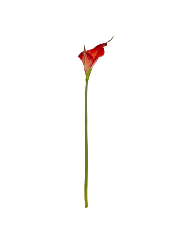High-quality metal and wood construction of Hill Interiors SKU 24407 Fireball Calla Lily, detailed view for UK customers.