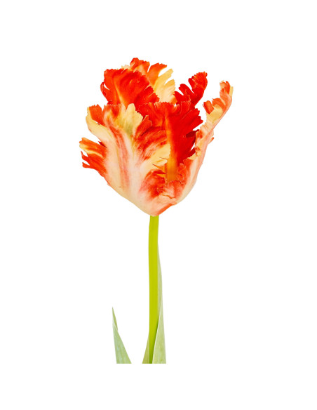 Affordable industrial style furniture Hill Interiors Flame Orange Parrot Tulip 24405 for modern home decor, free shipping optio