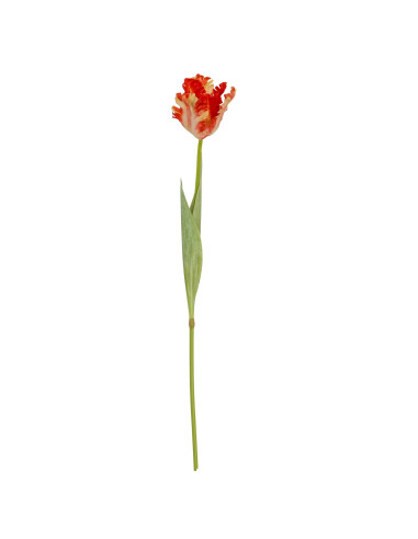 High-quality metal and wood construction of Hill Interiors SKU 24405 Flame Orange Parrot Tulip, detailed view for UK customers.
