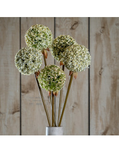 Affordable industrial style furniture Hill Interiors Green Allium Stem 23851 for modern home decor, free shipping options and s 2