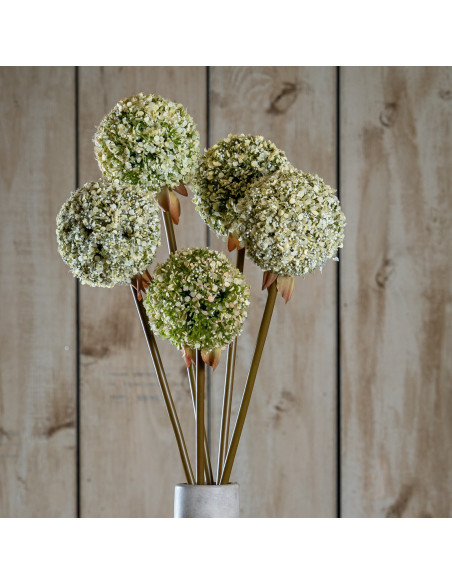 Hill Interiors Green Allium Stem 23851 - Authentic Hill Interiors furniture directly from FastDaddy UK. Exclusive collection on