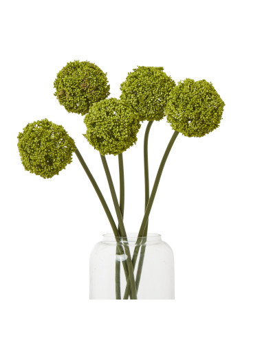 Full dimensions and specifications of Hill Interiors Green Allium Stem 23851: Height 75.00cm, Width 0.00cm, perfect for your li