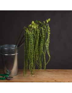 High-quality metal and wood construction of Hill Interiors SKU 19557 Green Amaranthus, detailed view for UK customers. 2