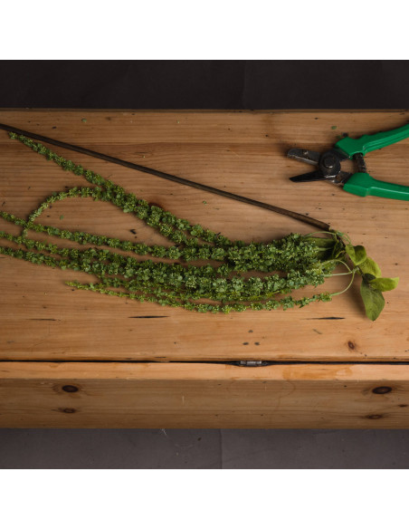 Buy Hill Interiors 19557 Green Amaranthus online in UK with fast delivery from FastDaddy UK, your furniture expert.