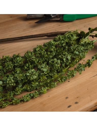 Affordable industrial style furniture Hill Interiors Green Amaranthus 19557 for modern home decor, free shipping options and se