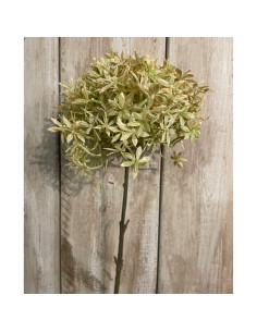 Buy Hill Interiors 23405 Green And Beige Allium online in UK with fast delivery from FastDaddy UK, your furniture expert. 2