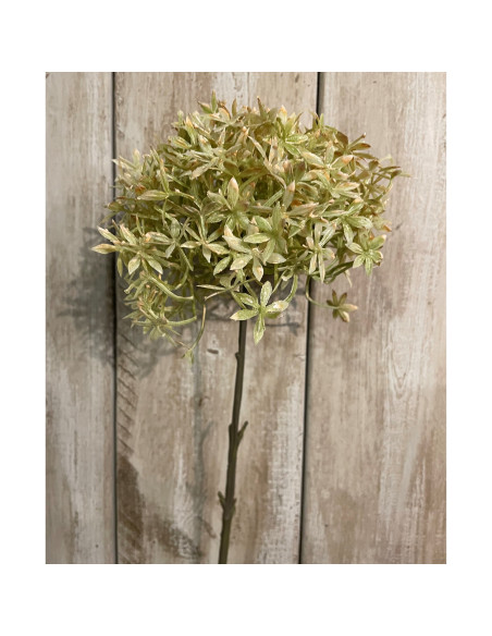 Hill Interiors Green And Beige Allium 23405 - Authentic Hill Interiors furniture directly from FastDaddy UK. Exclusive collecti