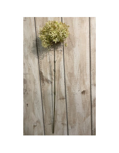 Buy Hill Interiors 23405 Green And Beige Allium online in UK with fast delivery from FastDaddy UK, your furniture expert.