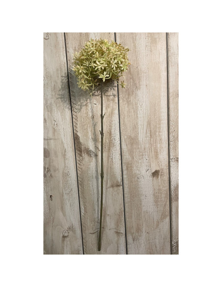 Buy Hill Interiors 23405 Green And Beige Allium online in UK with fast delivery from FastDaddy UK, your furniture expert.