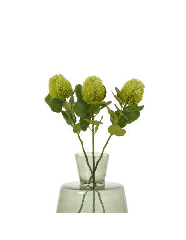 Affordable industrial style furniture Hill Interiors Green Banksia Stem 23813 for modern home decor, free shipping options and