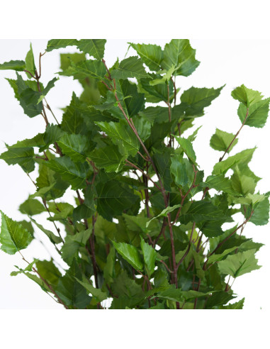 Full dimensions and specifications of Hill Interiors Green Branch Spray 19954: Height 128.00cm, Width 5.00cm, perfect for your