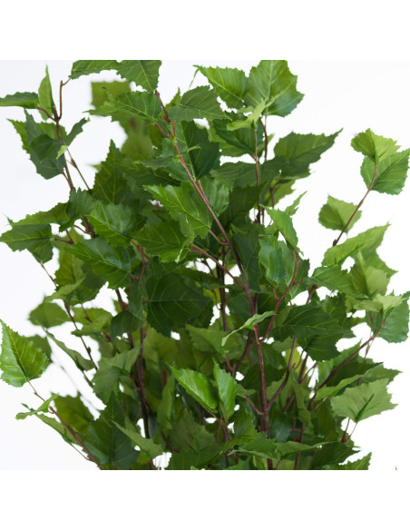 Full dimensions and specifications of Hill Interiors Green Branch Spray 19954: Height 128.00cm, Width 5.00cm, perfect for your