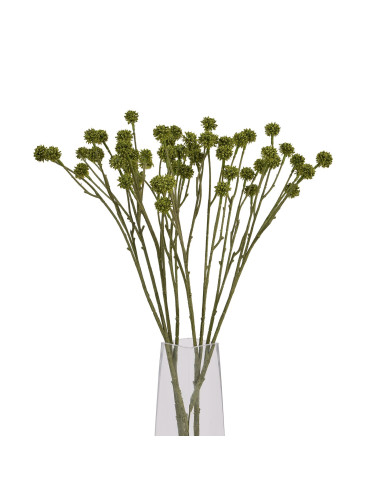 Full dimensions and specifications of Hill Interiors Green Craspedia Stem 22631: Height 60.00cm, Width 7.00cm, perfect for your