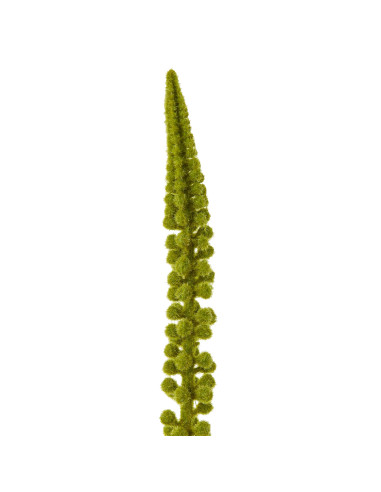 Buy Hill Interiors 23853 Green Eremurus Stem online in UK with fast delivery from FastDaddy UK, your furniture expert.