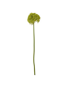Hill Interiors Green Giant Allium Stem 23857 - Authentic Hill Interiors furniture directly from FastDaddy UK. Exclusive collect