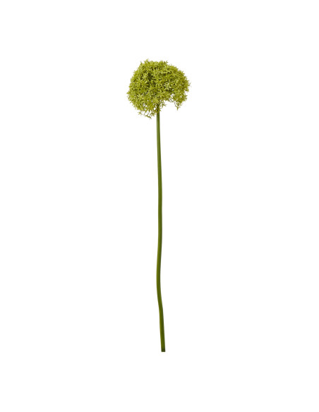 Hill Interiors Green Giant Allium Stem 23857 - Authentic Hill Interiors furniture directly from FastDaddy UK. Exclusive collect