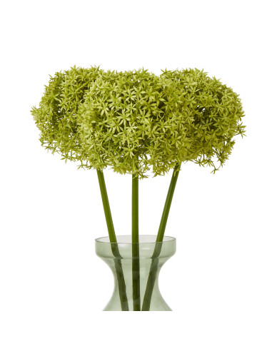 Affordable industrial style furniture Hill Interiors Green Giant Allium Stem 23857 for modern home decor, free shipping options