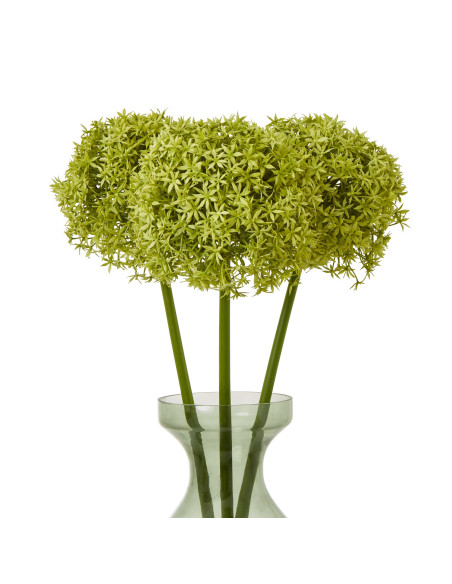 Affordable industrial style furniture Hill Interiors Green Giant Allium Stem 23857 for modern home decor, free shipping options