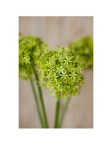 Full dimensions and specifications of Hill Interiors Green Giant Allium Stem 23857: Height 90.00cm, Width 21.00cm, perfect for