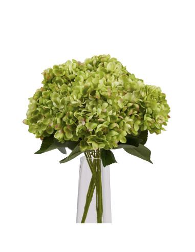 Full dimensions and specifications of Hill Interiors Green Hydrangea Bunch 22620: Height 47.00cm, Width 23.00cm, perfect for yo