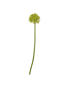Hill Interiors Green Medium Allium Stem 23860 - Authentic Hill Interiors furniture directly from FastDaddy UK. Exclusive collec