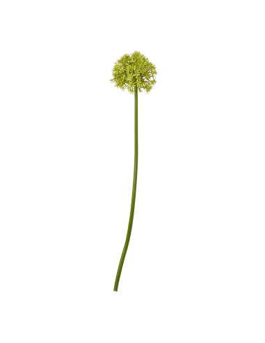 Hill Interiors Green Medium Allium Stem 23860 - Authentic Hill Interiors furniture directly from FastDaddy UK. Exclusive collec