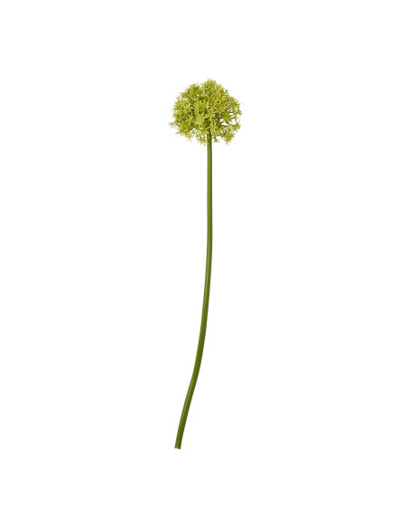 Hill Interiors Green Medium Allium Stem 23860 - Authentic Hill Interiors furniture directly from FastDaddy UK. Exclusive collec