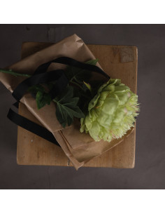 Buy Hill Interiors 18937 Green Peony online in UK with fast delivery from FastDaddy UK, your furniture expert.