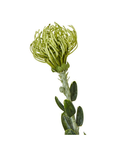 Buy Hill Interiors 23838 Green Pincushion Protea Spray online in UK with fast delivery from FastDaddy UK, your furniture expert