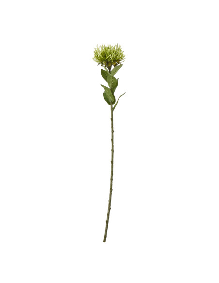 Hill Interiors Green Protea Lorea Stem 23843 - Authentic Hill Interiors furniture directly from FastDaddy UK. Exclusive collect